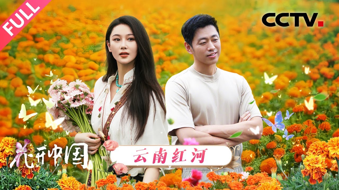 【Full】原来万寿菊并不是菊？玫瑰花竟然喜欢“喝”汽水？打卡“中国芯”月季、体验奇幻吸色菊，探寻“一朵花”的中国式浪漫 | CCTV「花开中国」20250913 第2期