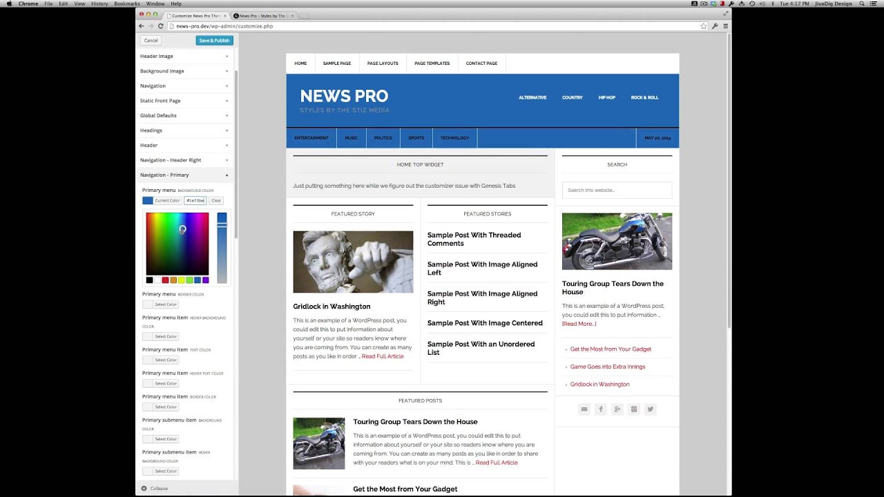 Customize the Genesis News Pro Theme in minutes without code