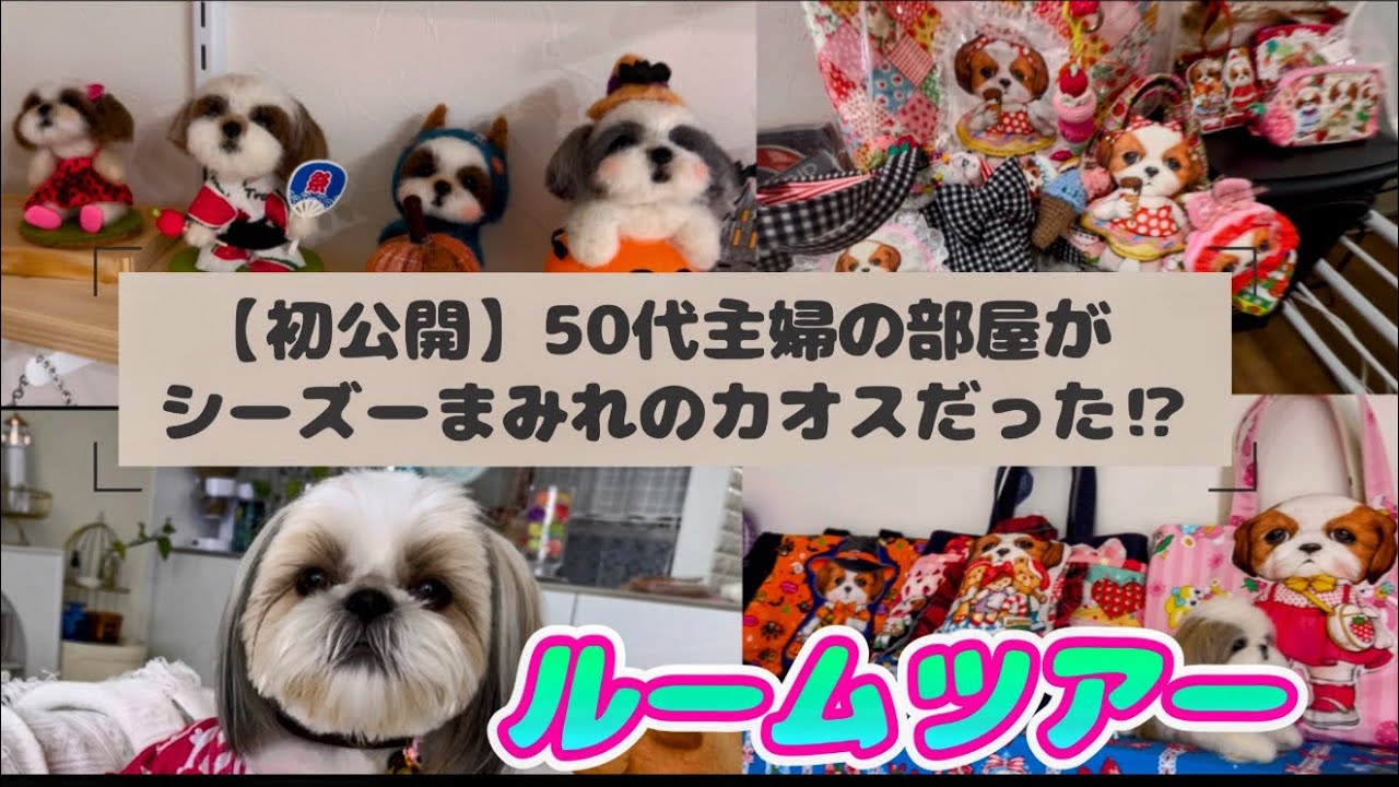 【シーズー】50代主婦の部屋がシーズーまみれのカオスだった⁉️【ルームツアー】