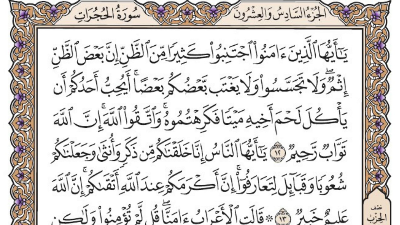 سورة الحجرات مكتوبة / محمد أيوب