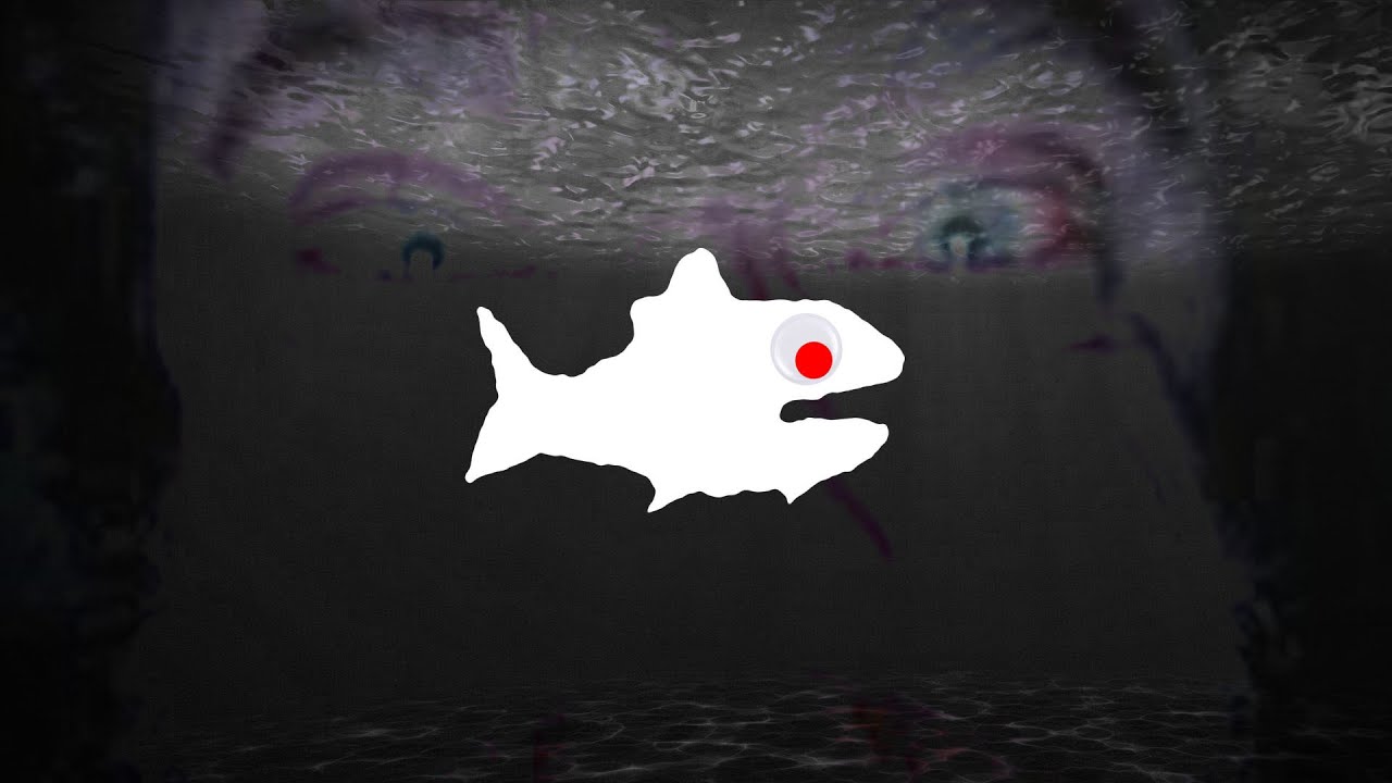 Fishtank is Special