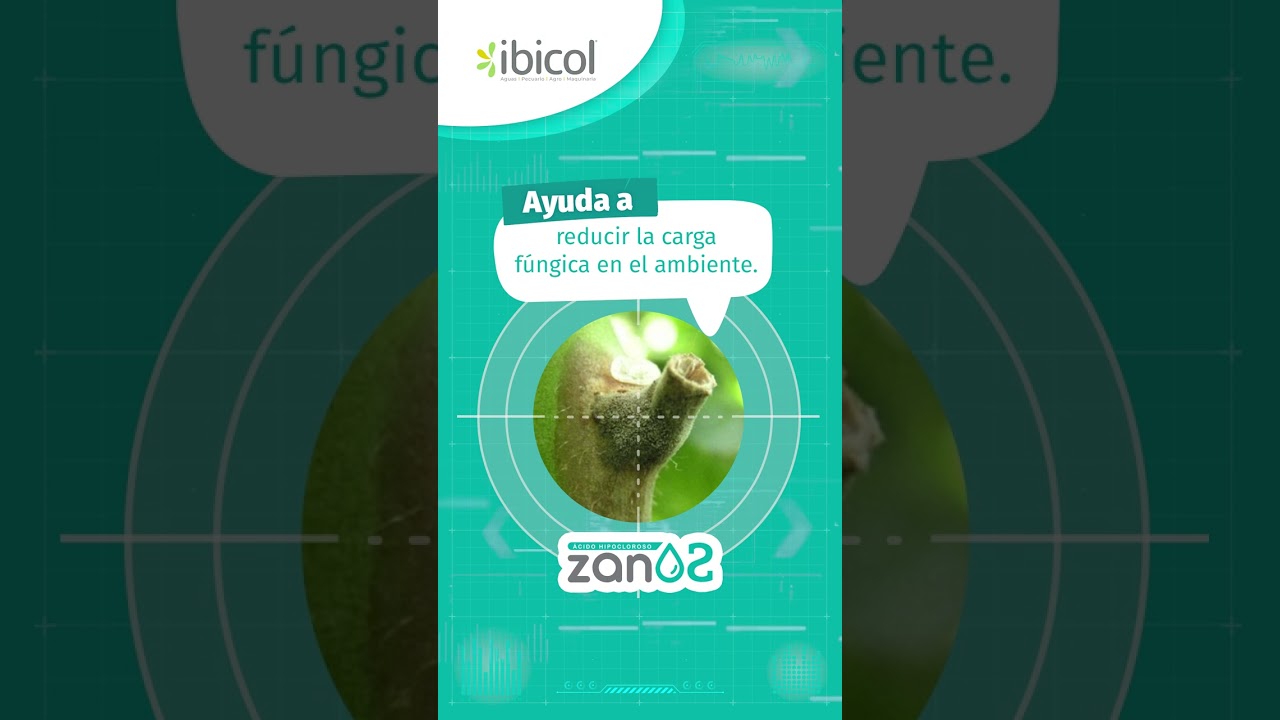 Ibicol. Zano2: Protecci&oacute;n antif&uacute;ngica avanzada contra Botrytis cinerea.