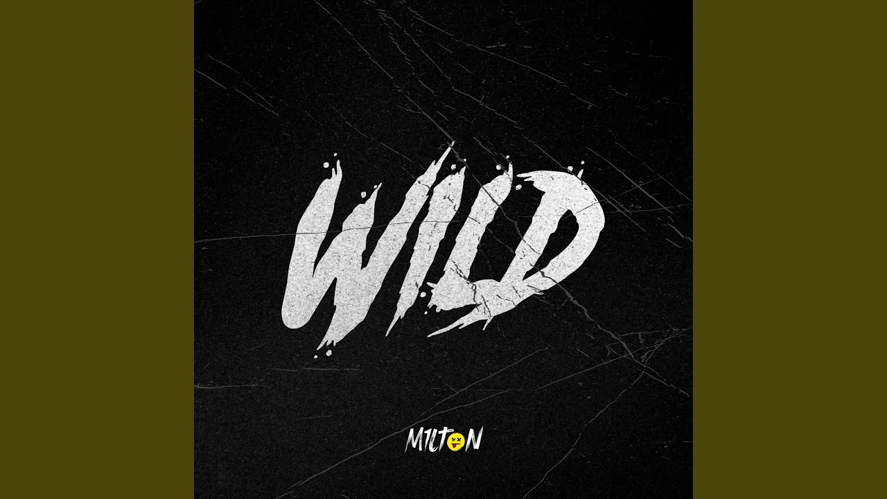 Piger Som Dig (feat. Micky Skeel)