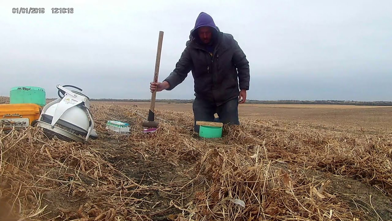How to sample soil gas emissions