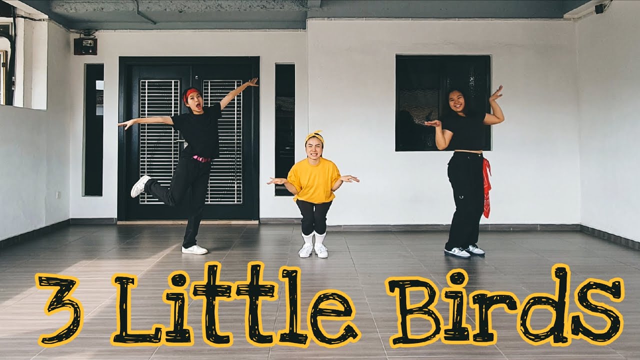 3 Little Birds Line Dance Demo
