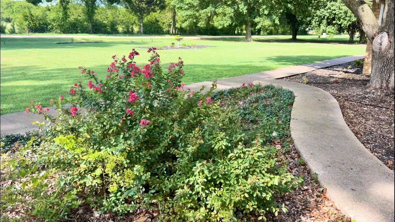 Garden tour Show & Tell 🌻 | Planted more natives & proven winners plants 🌿 | Zone 8b Wendi Gardens