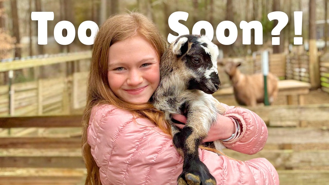 An EARLY Lamb?! I was NOT expecting this!