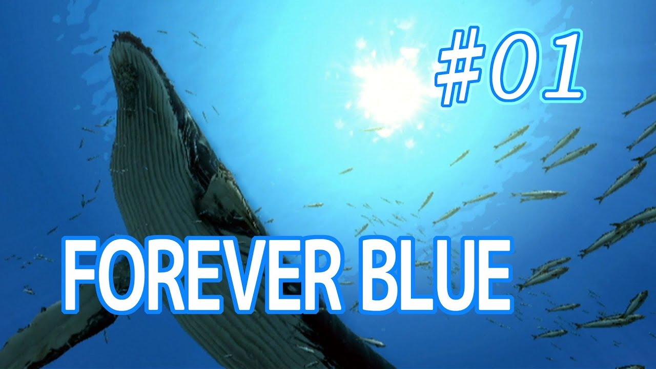 ☆１ 【FOREVER BLUE】フォーエバーブルー 海の呼び声を優しく実況プレイ！