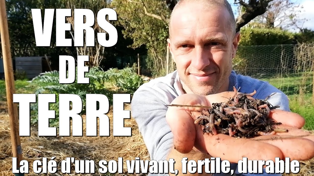 Les vers de terre, clé de fertilité au potager.