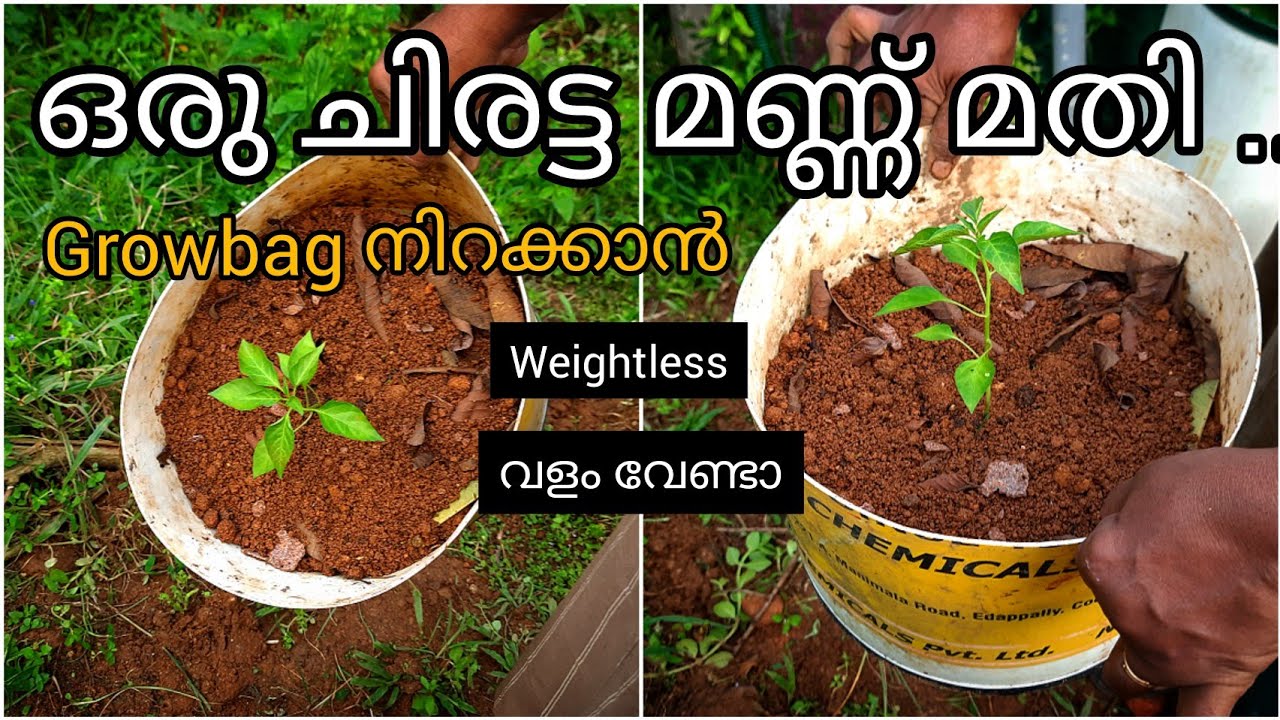 ഒരു ചിരട്ട മണ്ണ് മതി Grow bag നിറക്കാൻ|വളവും ലാഭം|weightless grow bag