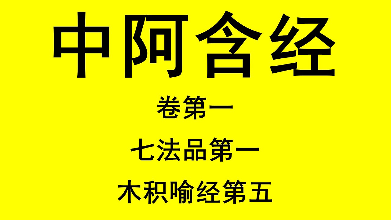 中阿含经 | 卷第一 | 木积喻经第五 | 读诵