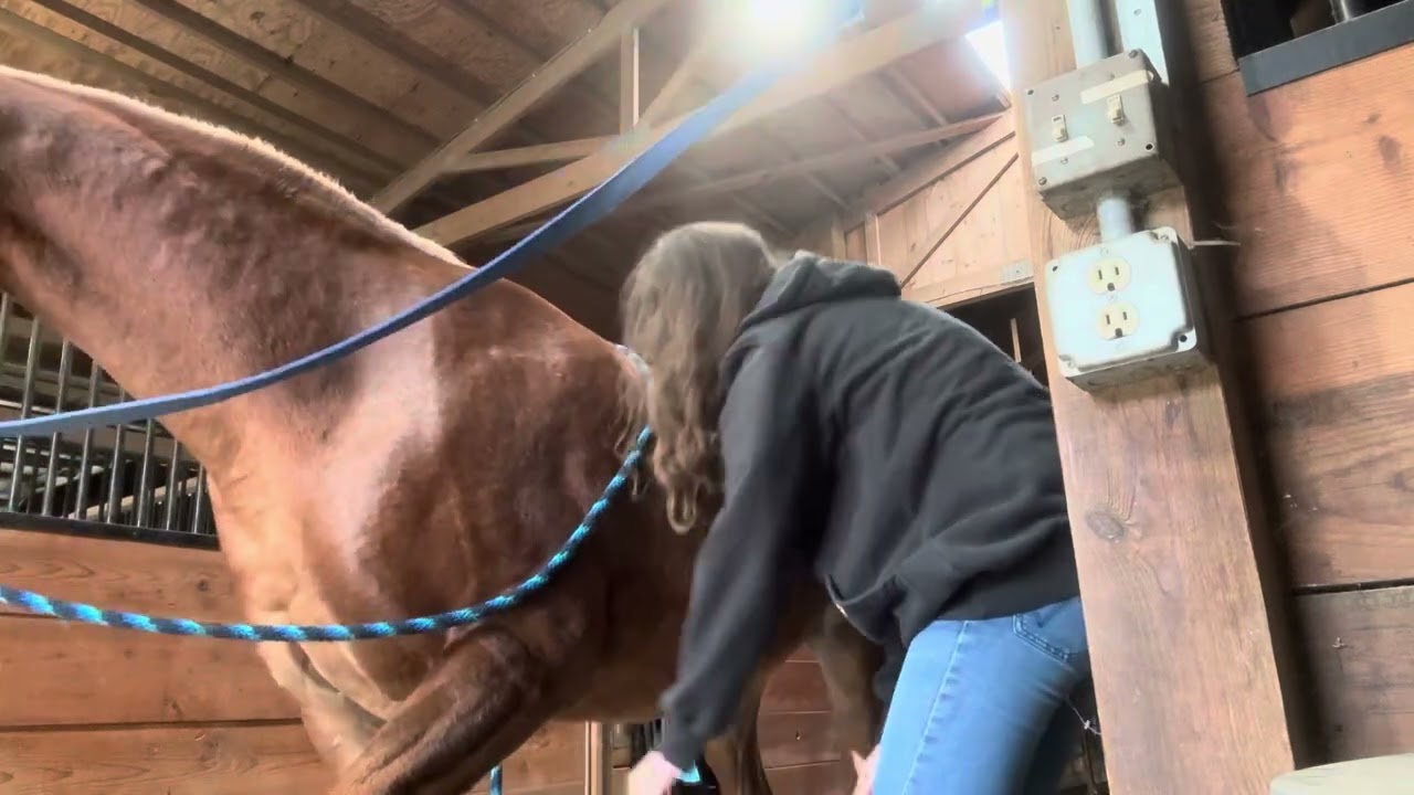 10.12.25 Barn vlog! 
