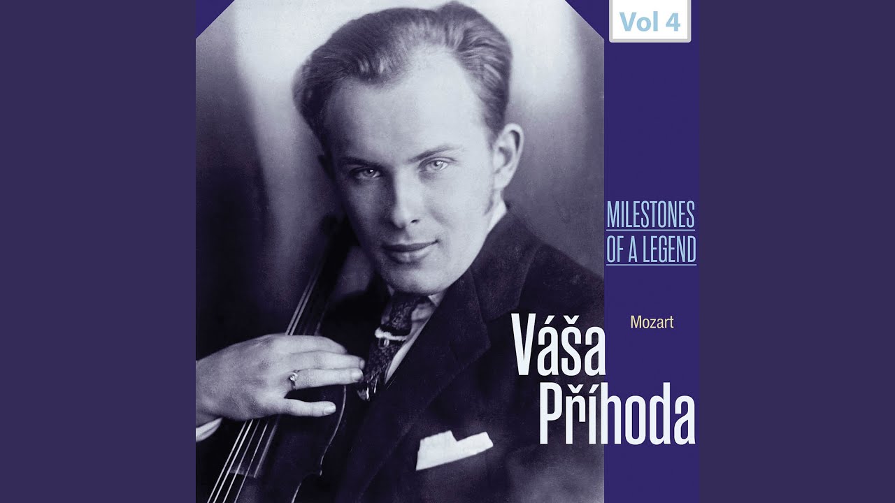 Violin Concerto No. 4 in D Major, K. 218: II. Andante cantabile (Arr. for Violin & Piano)