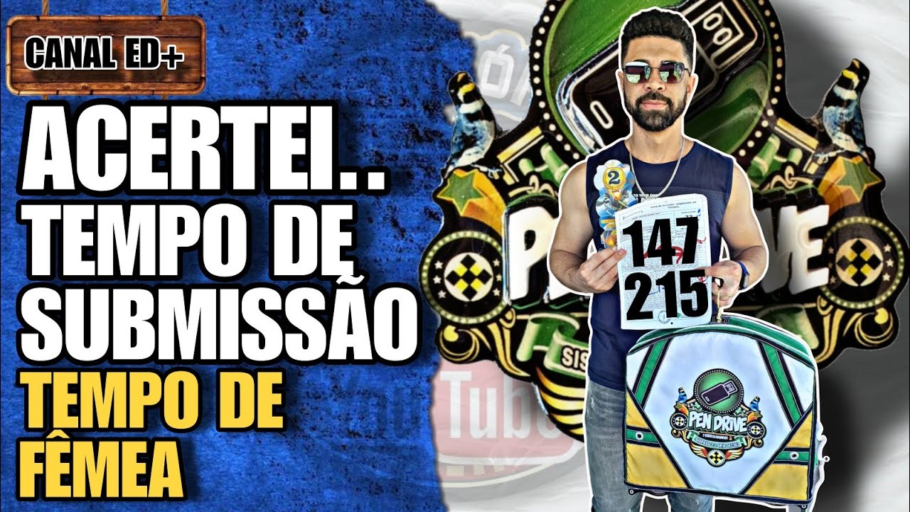 agora tá ACERTADO!...veja os DETALHES da MEXIDA do coleiro PEN DRIVE.