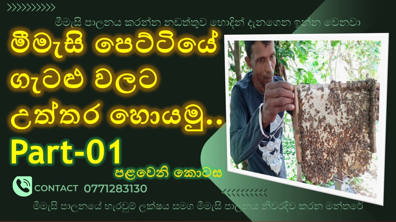 මීමැසි පෙට්ටියේ ගැටළු වලට උත්තර හොයමු.... part-01/ 
