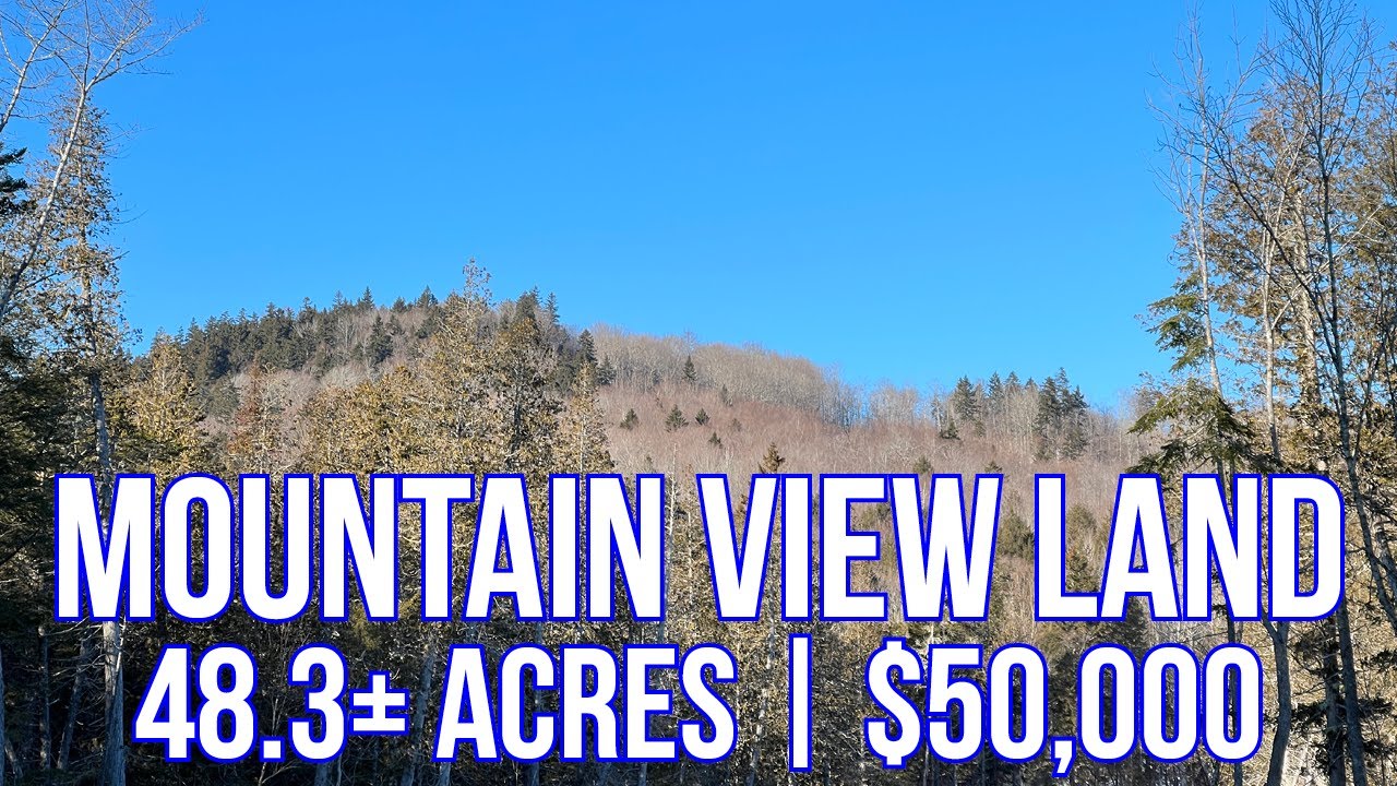48.3± Acres for $50,000 | Maine Real Estate