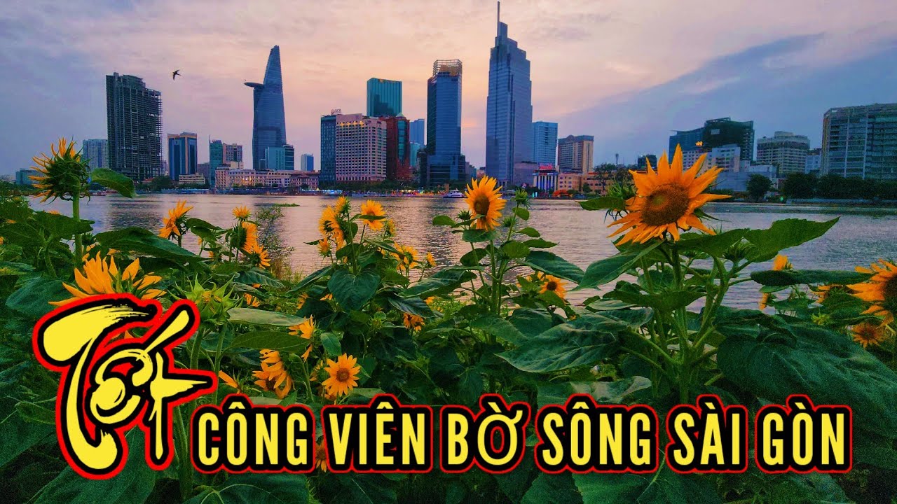 Choáng Ngợp Cánh Đồng Hoa Hướng Dương Công viên Bờ Sông Sài Gòn | Tết 2026