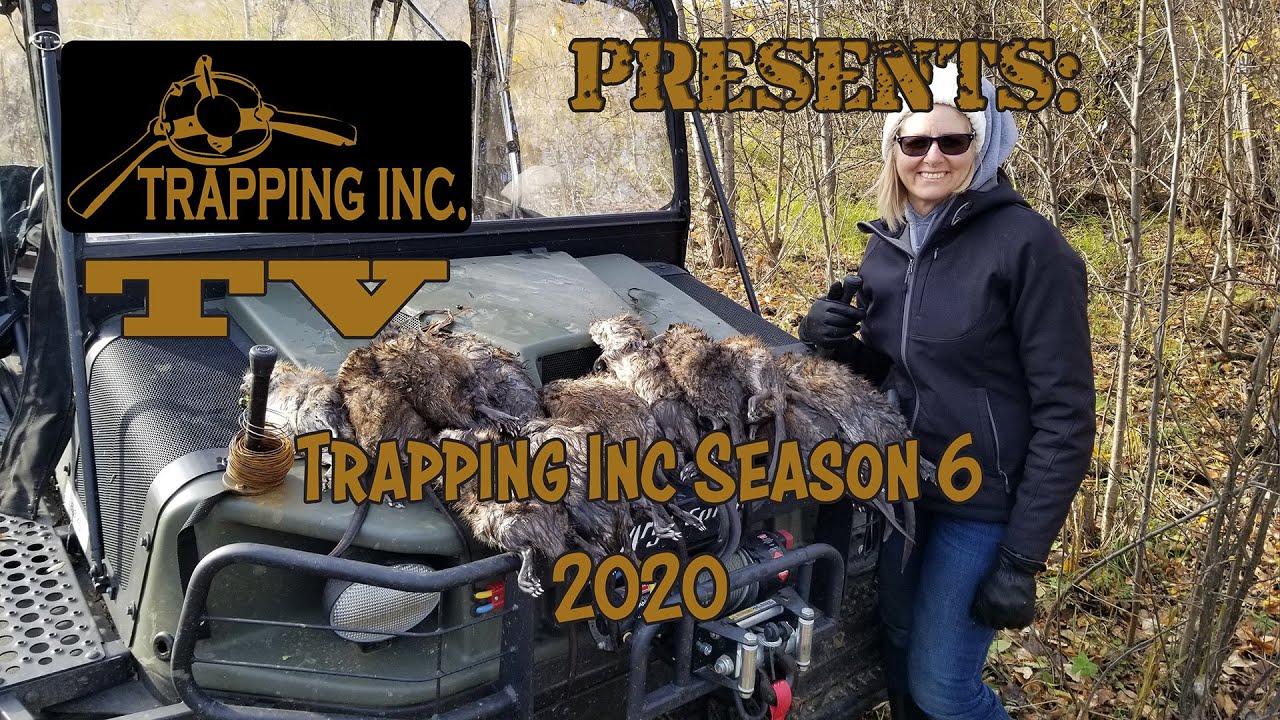 Trapping Inc TV 2020 Season 6 Episode 5 Crazy Winter Otter