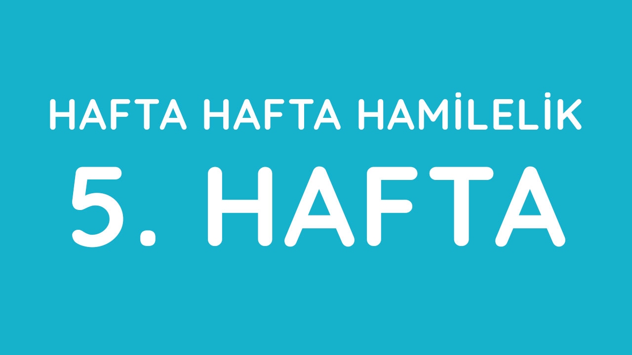 5.Hafta - Hafta Hafta Gebelik - Hamilelik | Anneysen.com