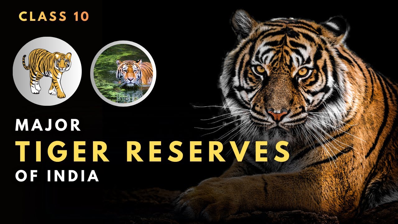 Map - Major Tiger Reserves of India I 10th Board I (CBSE & RBSE) 