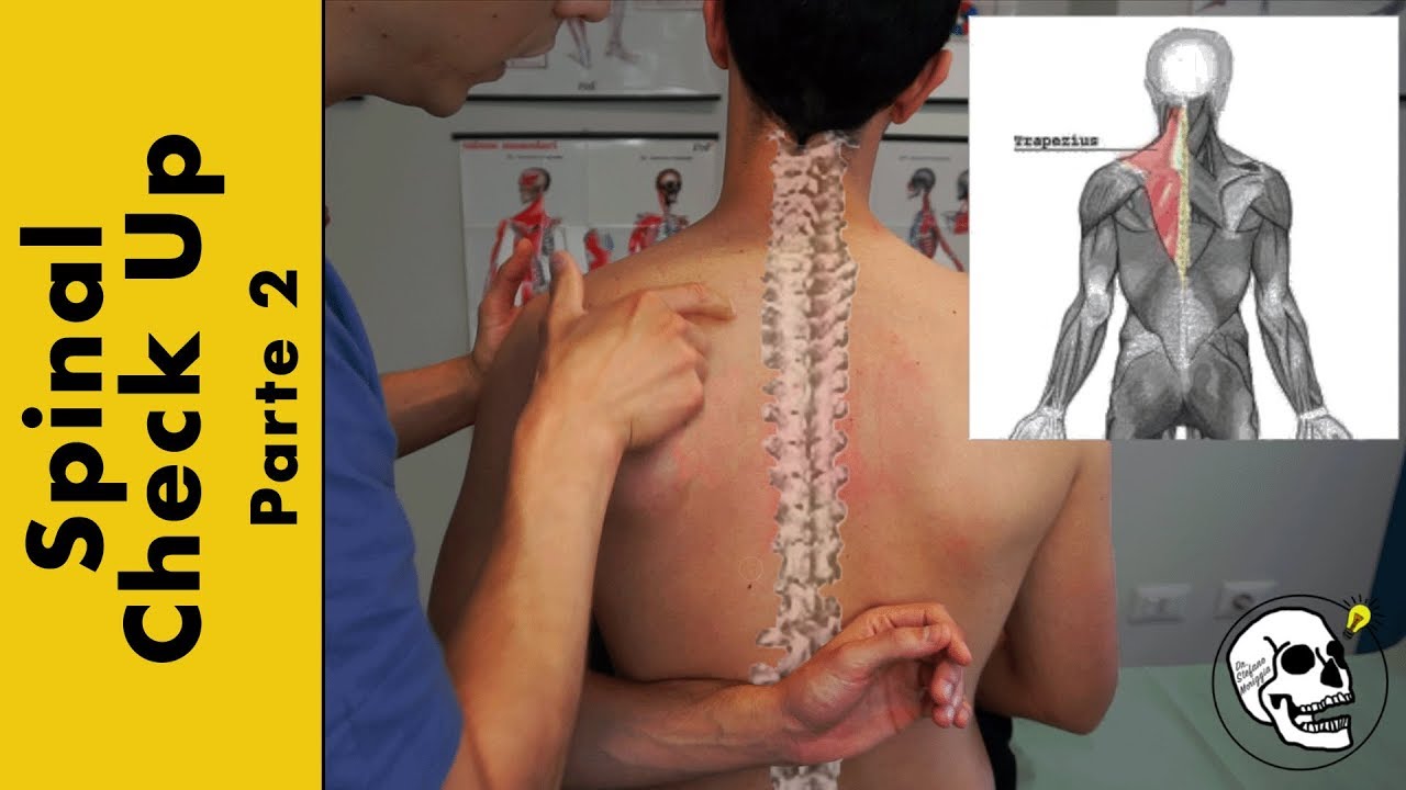 Valutazione viscerale e strutturale integrata - Parte 2 del caso clinico