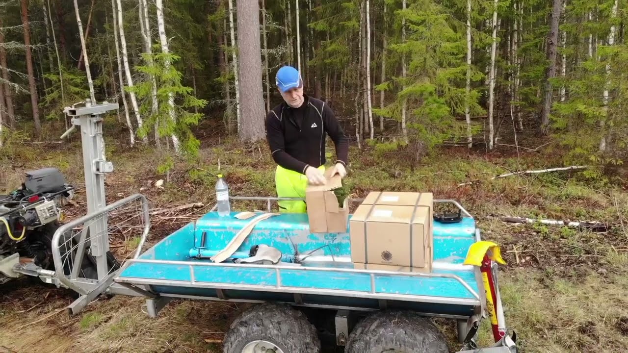 Granplantering #planting #planta #skog