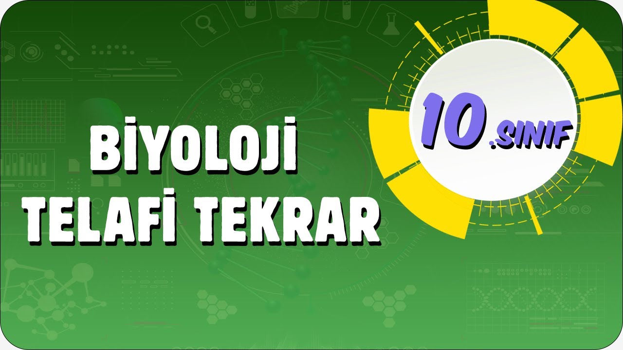 10. Sınıf Biyoloji Telafi | Tek Videoda Tekrar ♻