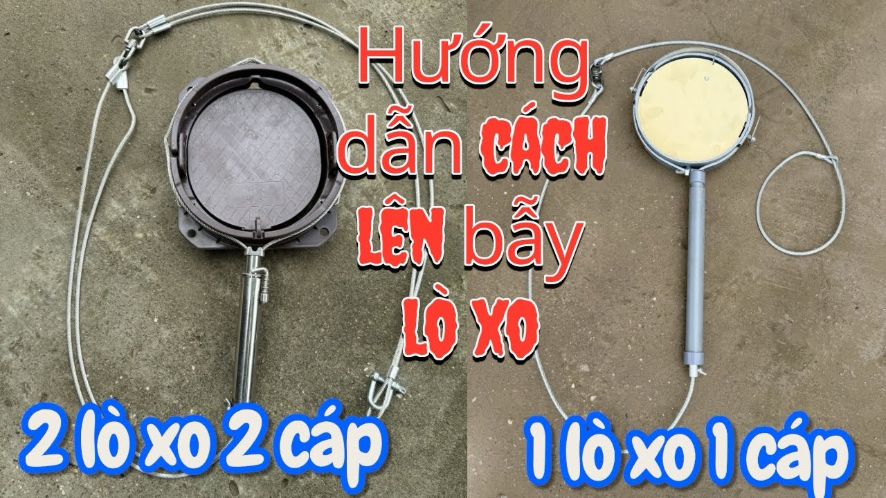 Khác biệt giữa bẫy lò xo Nhật dây kép 2 lò xo với bẫy lò xo bẫy heo dây đơn - loại nào dễ dùng hơn?