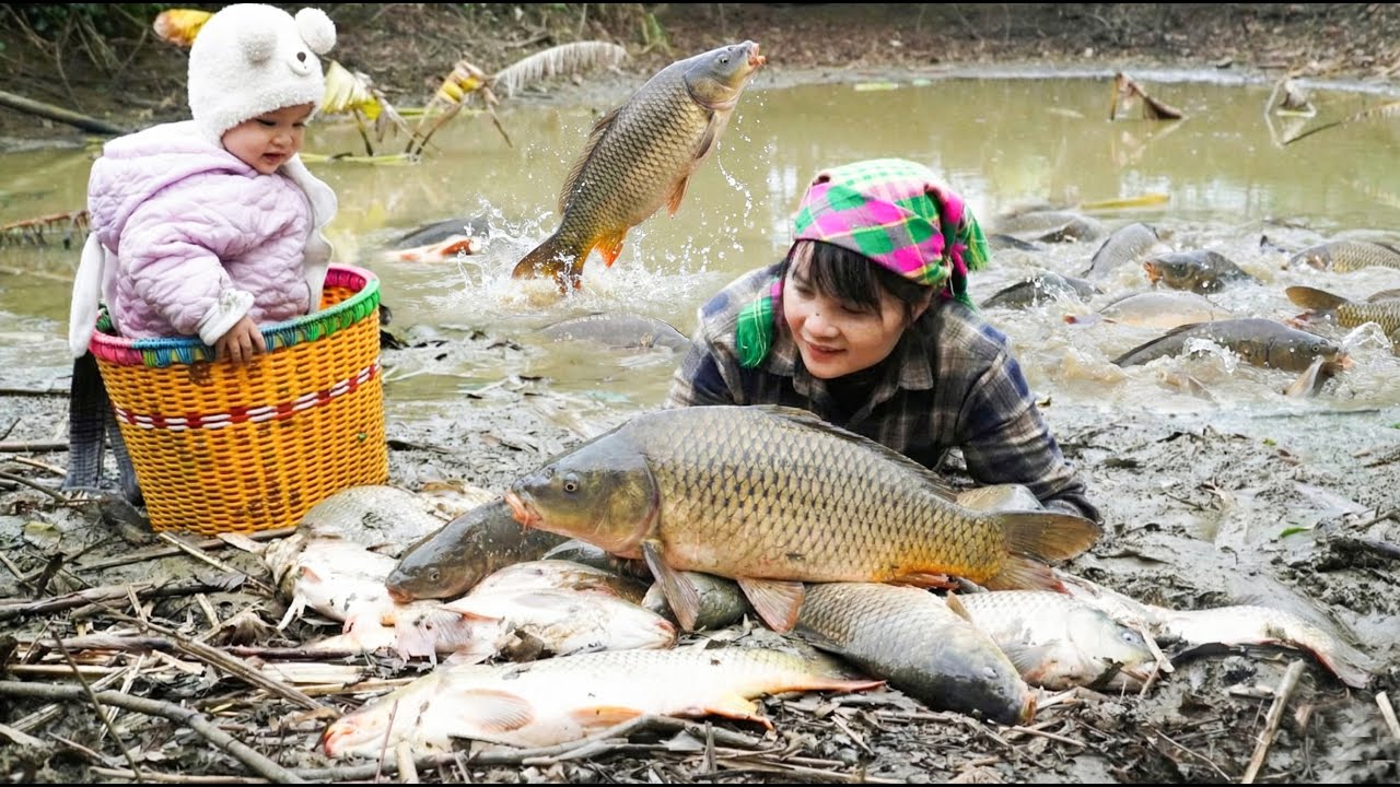 How to catch and harvest giant fish and then take them to the market - Buying gifts for my daughter.