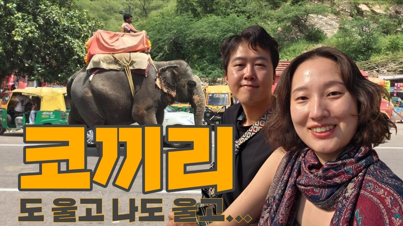 충격의 코끼리 택시🛺 Shocking Elephant Taxi🐘
