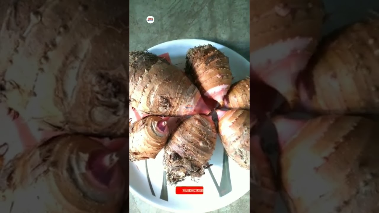 Gaderi (गडेरी) || Gaderi Vegetable || Pahadi Vegetable #shorts