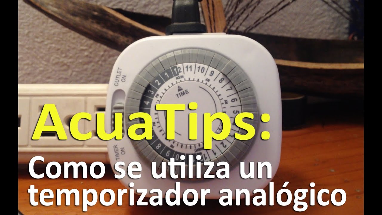 COMO UTILIZAR UN TEMPORIZADOR ANALÓGICO PARA AUTOMATIZAR LAS LUCES DE TUS ACUARIOS | ACUARISMO FÁCIL