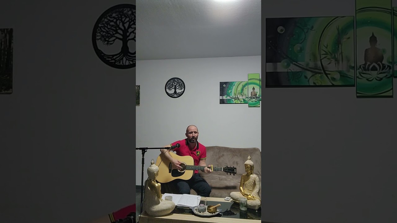Léa - Brice Conrad cover guitare