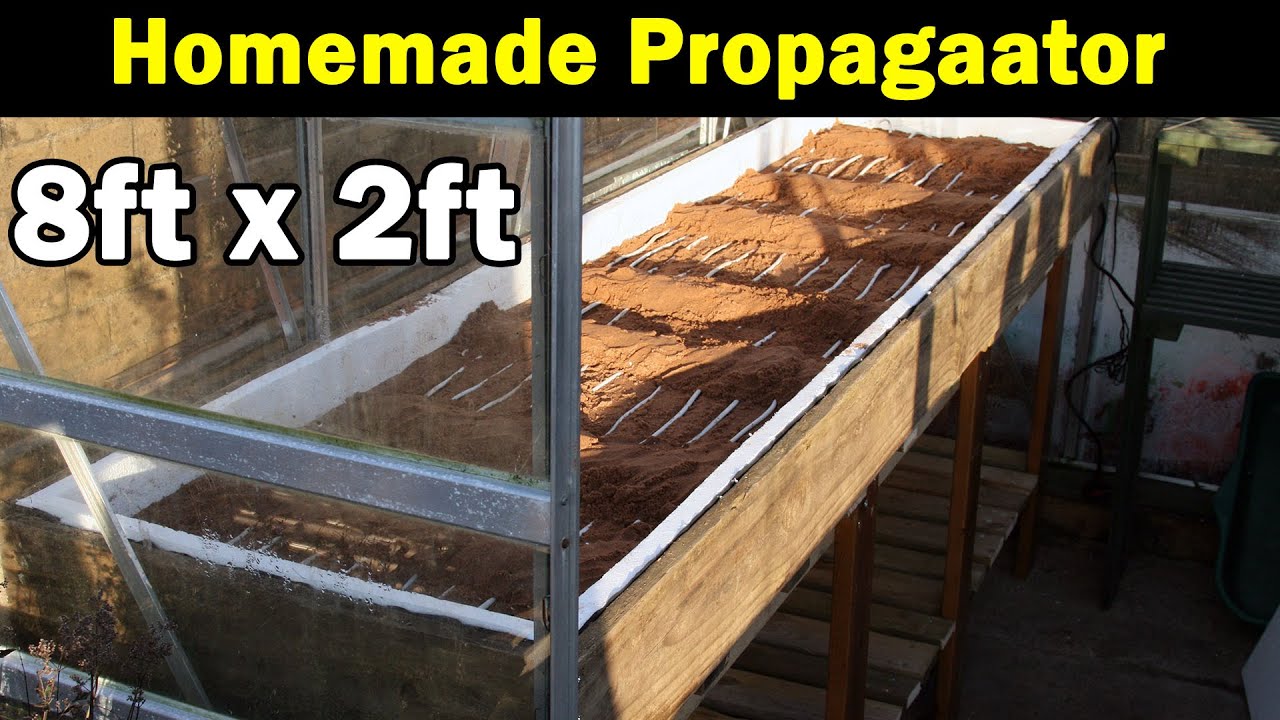 Homemade Propagator |  8 foot x 2 foot | Lettuce Sowing | Five varieties | Green Side Up