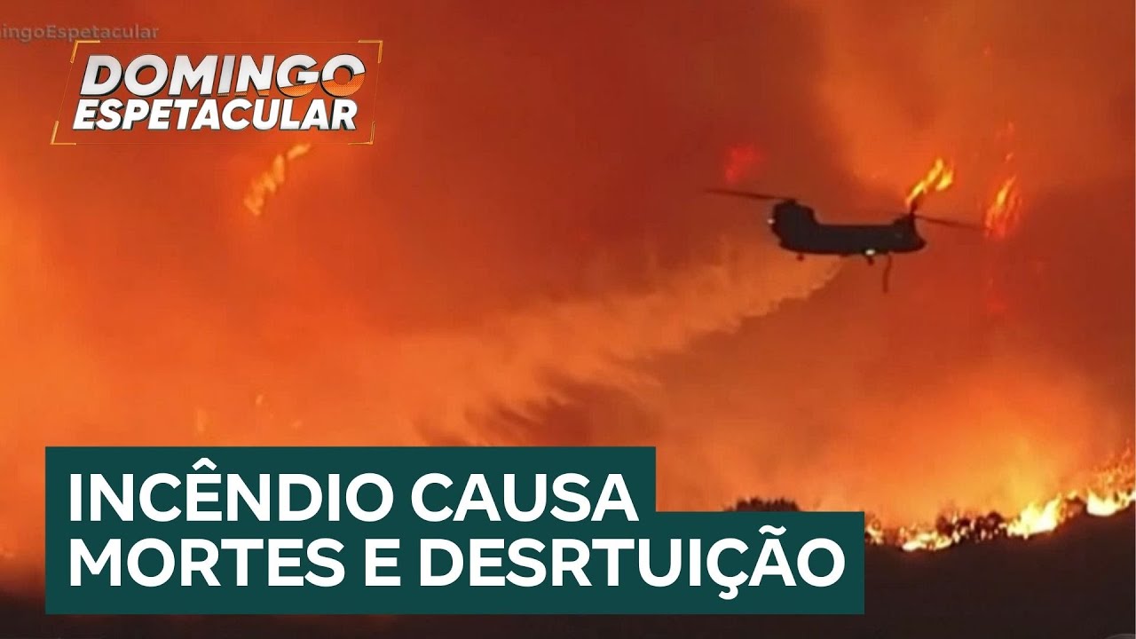 Incêndios devastadores em Los Angeles já destruíram mais de 12 mil casas e deixaram 16 mortos