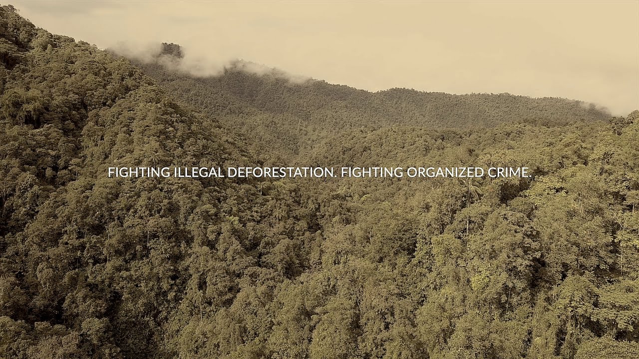 CCP-LEAP: FIGHTING ILLEGAL DEFORESTATION. FIGHTING ORGANIZED CRIME