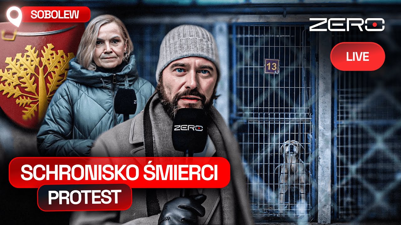 NA ŻYWO: PROTEST W 