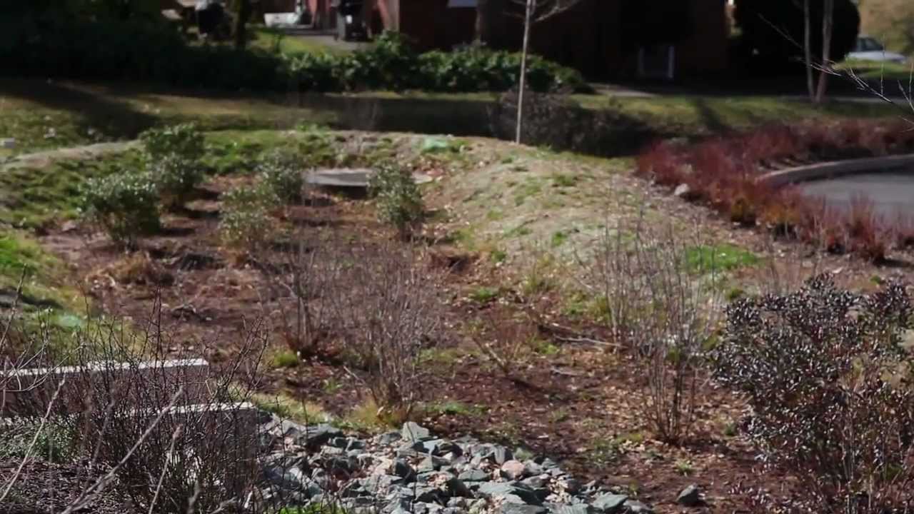 LID Stormwater Construction Practices