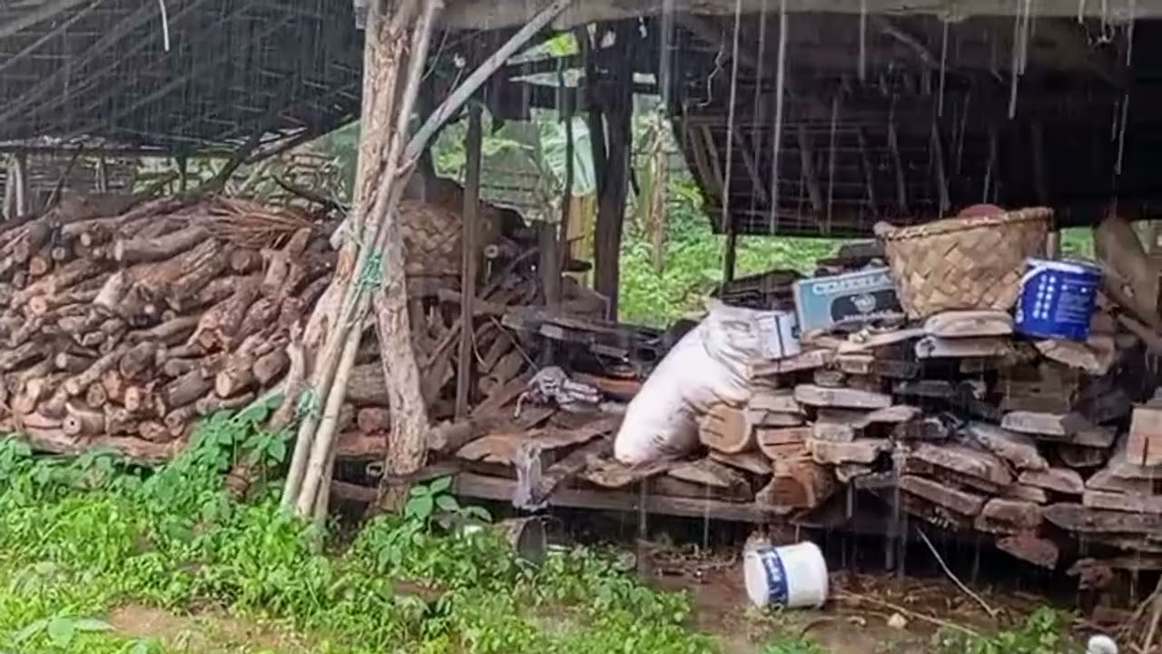 Heavy rain and thunder sounds for deep sleep and focus