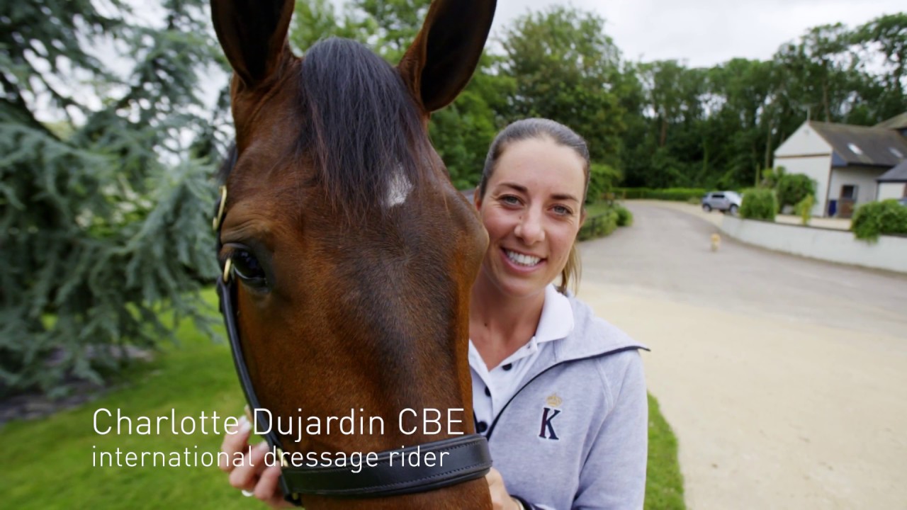 exploring: dressage