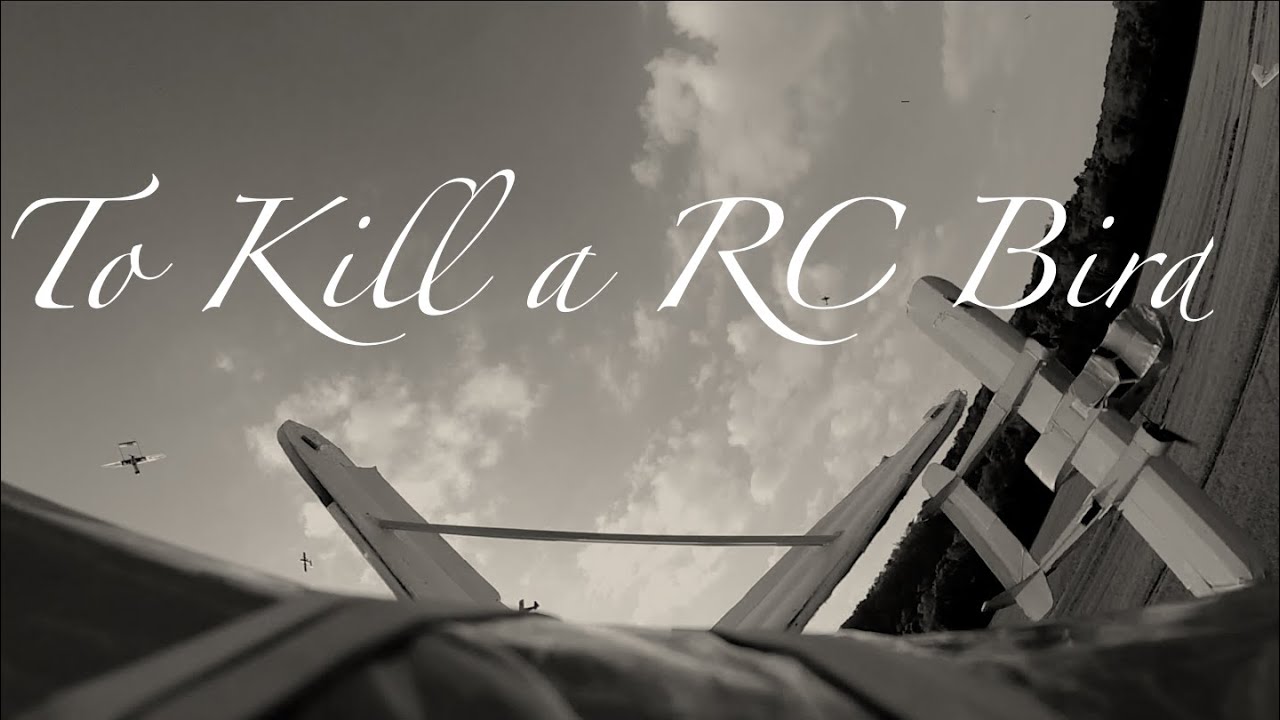 To Kill a RC Bird (1.2m Flite Test Sparrow)