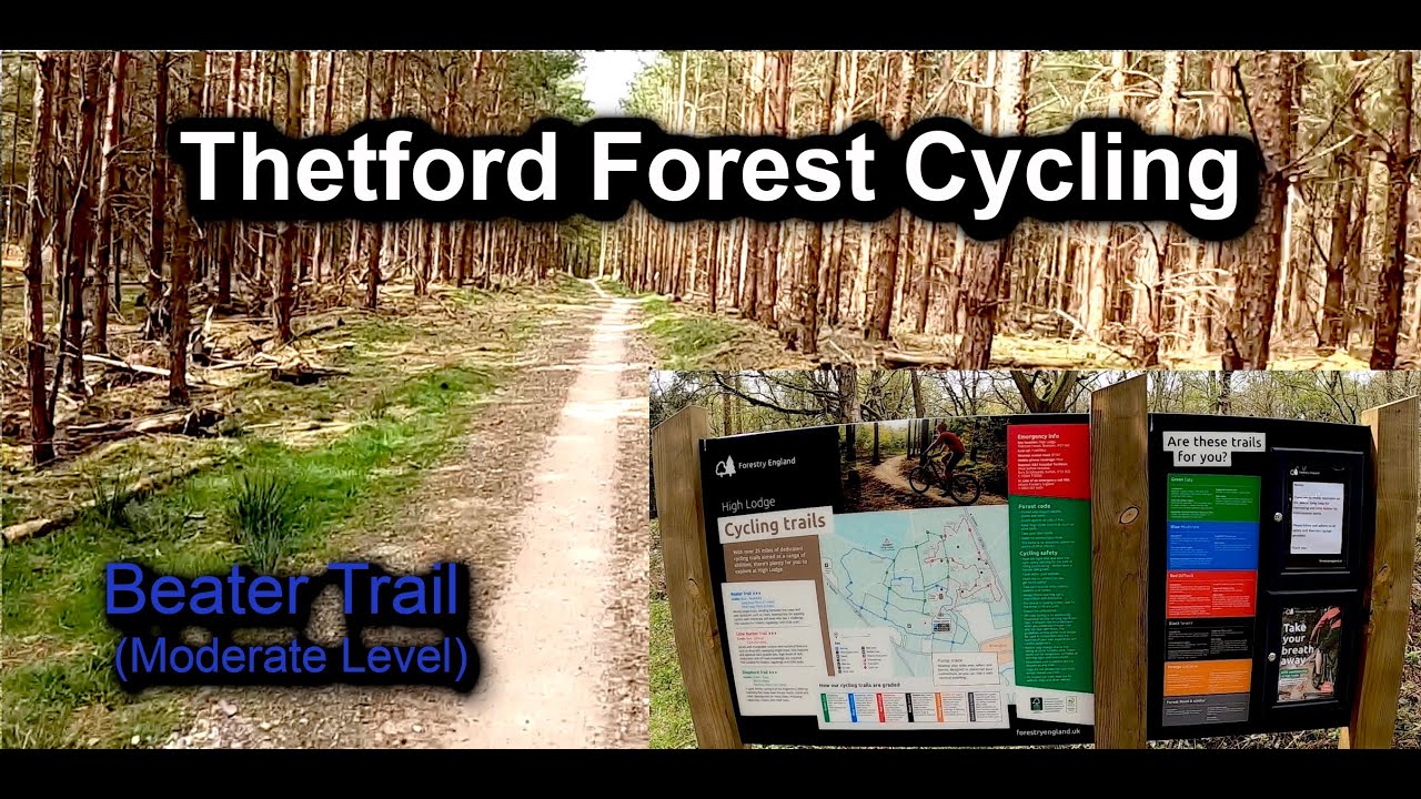 Thetford Forest Beater Trail (Short Loop) Cycling | Suffolk, UK