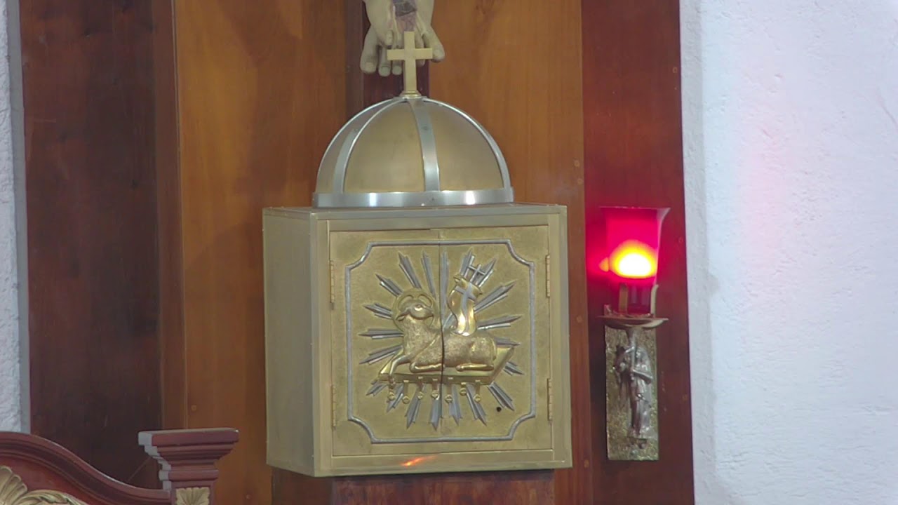 Santa Eucaristía - 07-02-2026.
