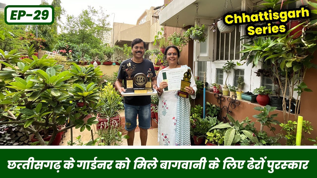 छत्तीसगढ़ के गार्डनर को मिले बागवानी के लिए ढेरों पुरस्कार 🏆Award Winning Gardener of Chhattisgarh 😱