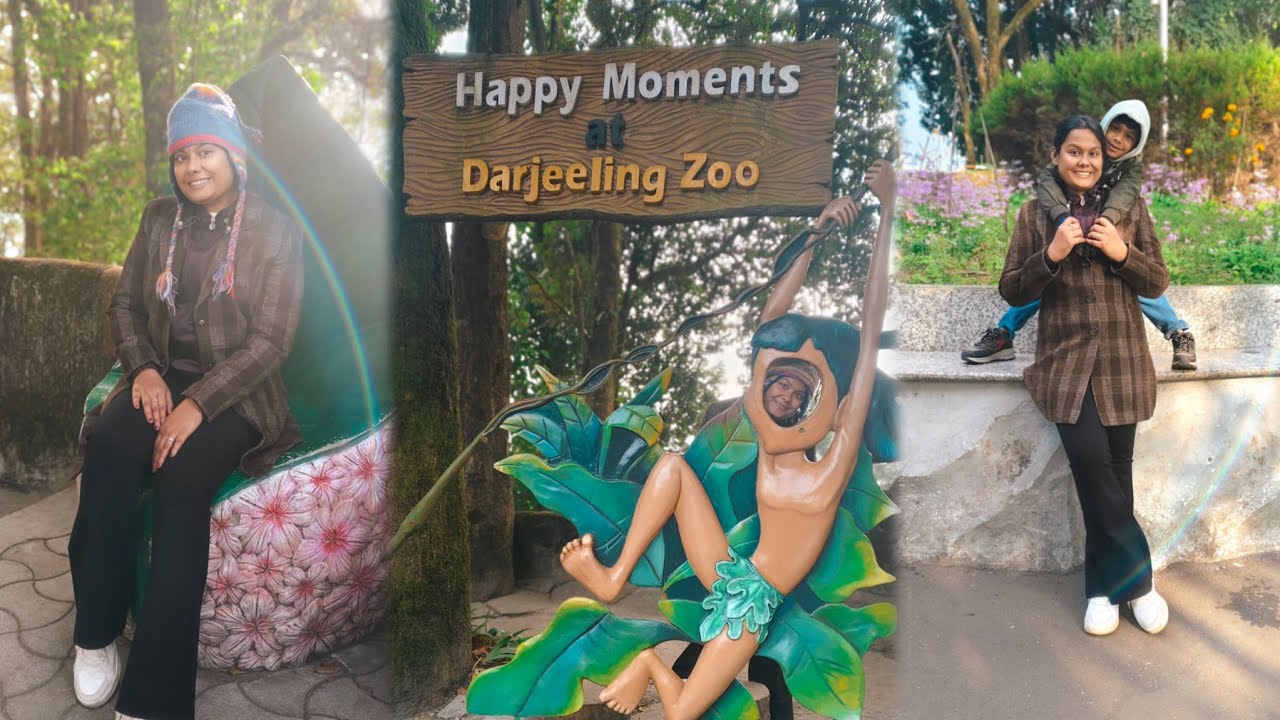 Day 3 Darjeeling Zoo Vlog | India's largest high-altitude Zoo | ଚିକେନ୍ ଷ୍ଟିମ୍ ମୋମୋକୁ ଚିକେନ୍ ପୋକୋଡା 😋