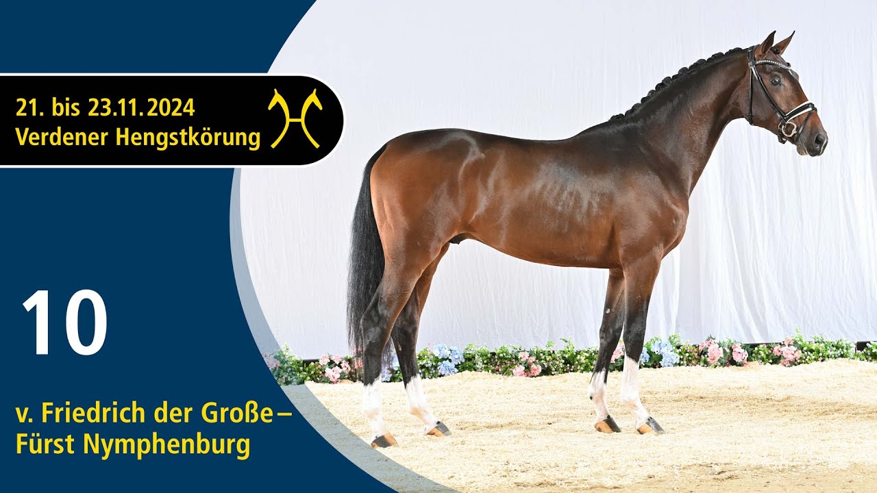 No. 10 Stallion by Friedrich der Große - Fürst Nymphenburg | Verden Stallion Licensing 2024
