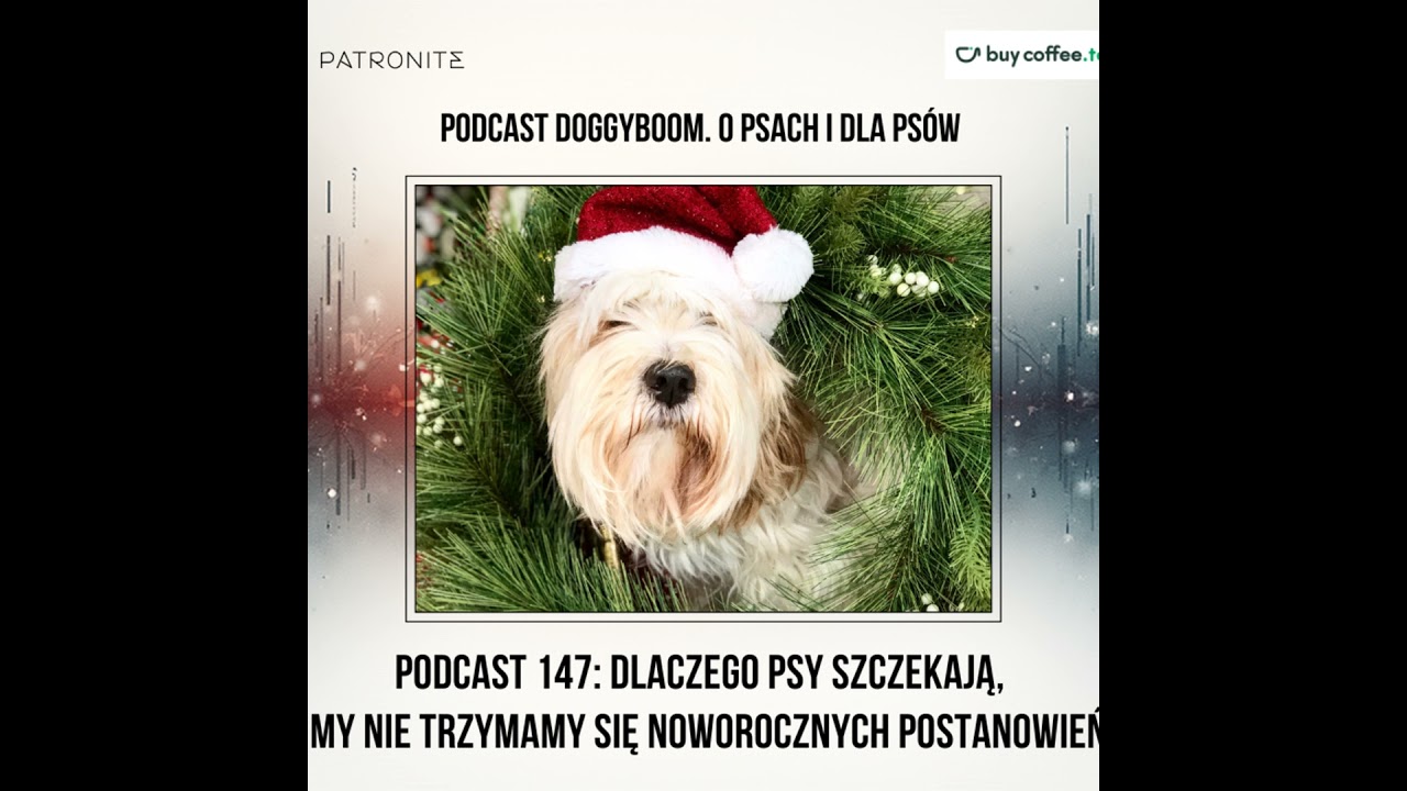 Podcast 147: Dlaczego psy szczekają, a my nie trzymamy się noworocznych postanowień