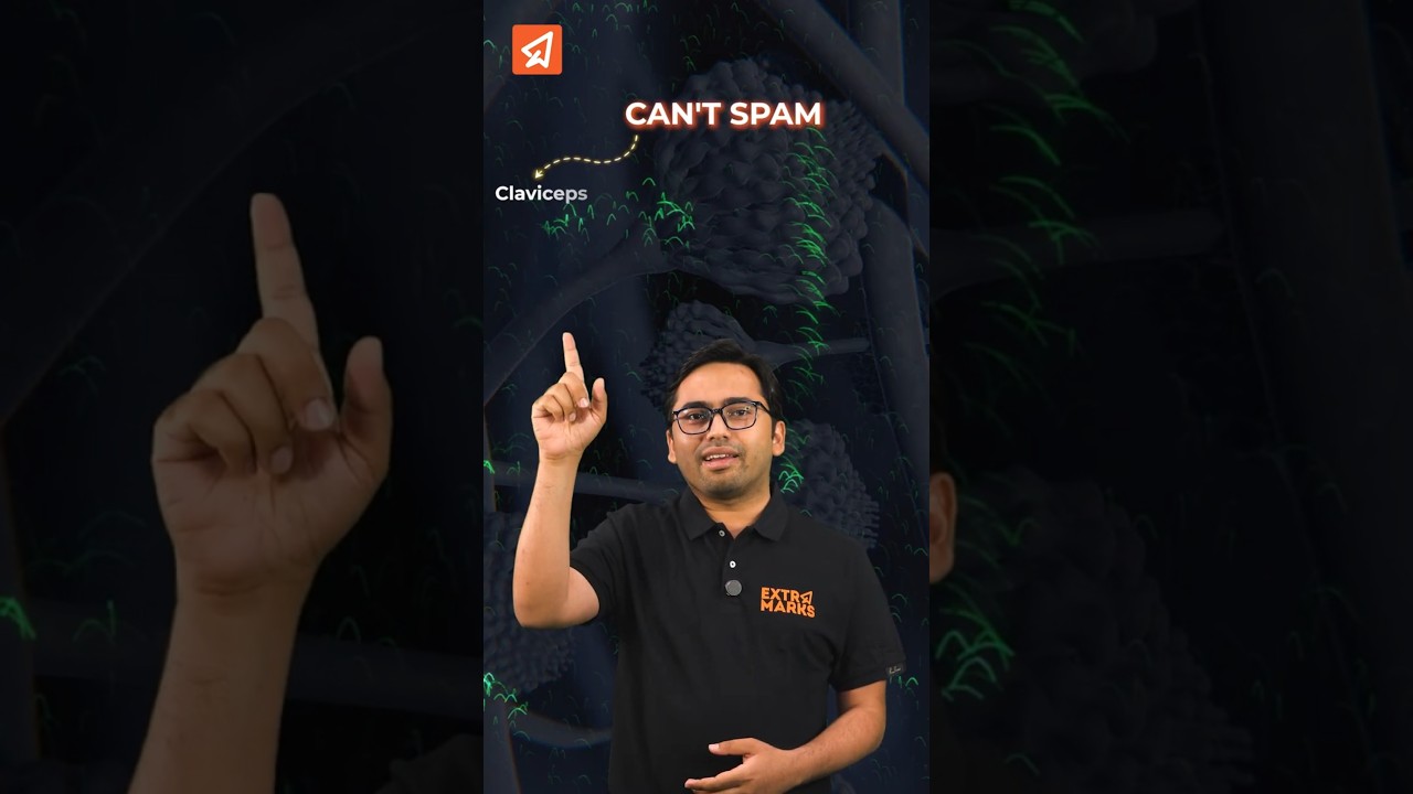 Fungi Classes & Examples Mnemonics for NEET 2026 | Easy Biology Tricks to Score High