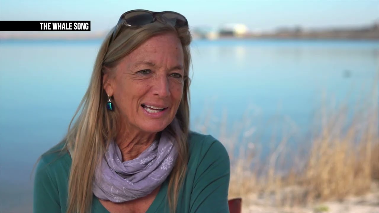 The Whale Song | Exploring Whale Communication | Documentary | SKY 522