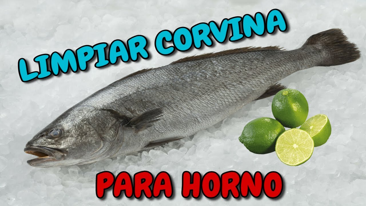 Cómo LIMPIAR una CORVINA para HORNO y en LOMOS